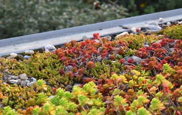 the cost of Shellingford green roof installation